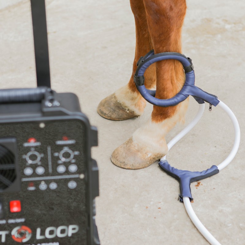 PMST LOOP PEMF Therapy Horse E - Therapy Health And Wellness recensie en prijs